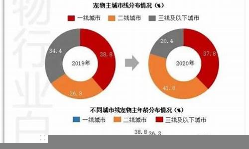 国内消费市场的变化与经济增长潜力